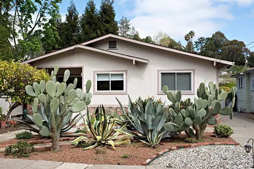 An Entrance of Agave and Barbary Figs