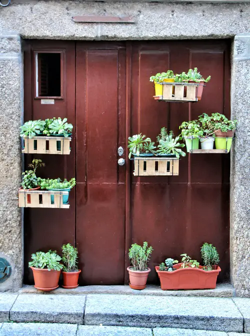 Succulent on the Entrance Ideas 34