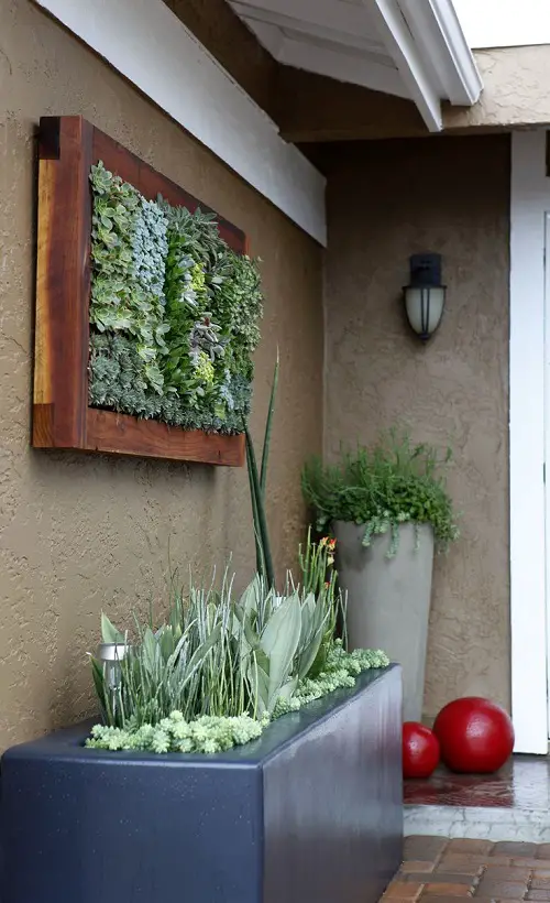 Vertical and Horizontal Succulent Gardens