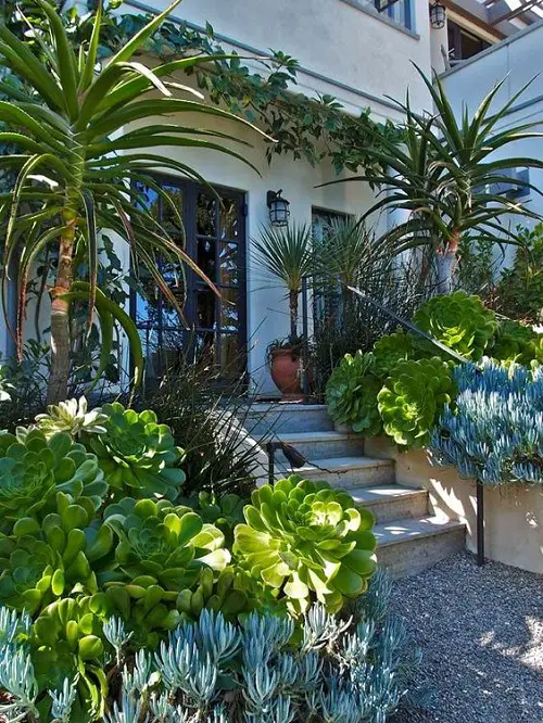 Bold and Beautiful! Entrance ideas