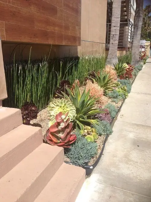 Sunny Bed of Succulents near doorway