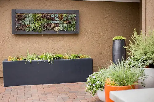 vertical Succulent on the Entrance Ideas
