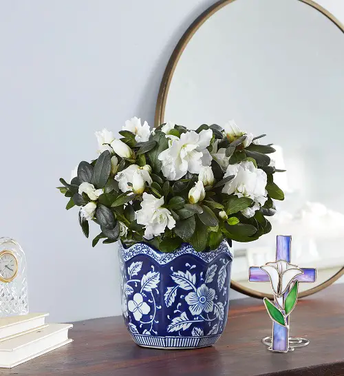 best White Flowers For Funeral