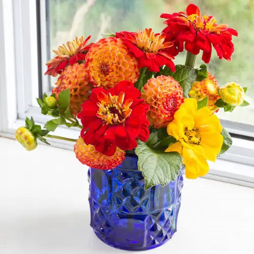 Lovely Flowers for a First Date 