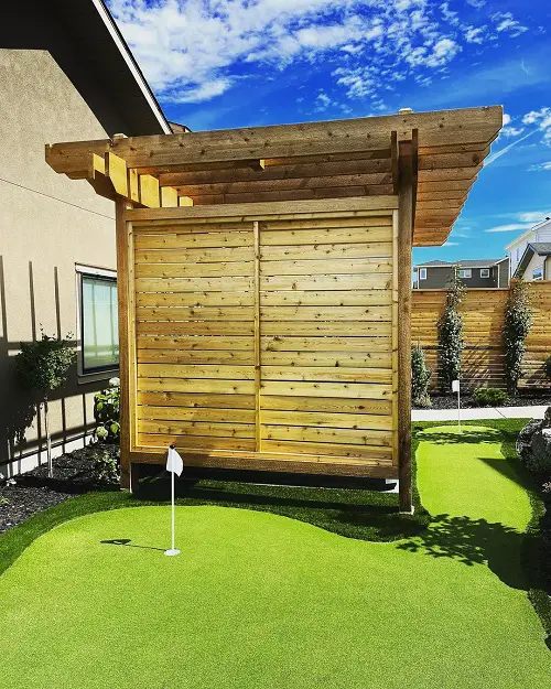 best Alternatives to Mowing the Lawn