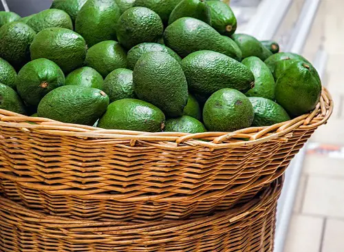 Is Avocado a Vegetable