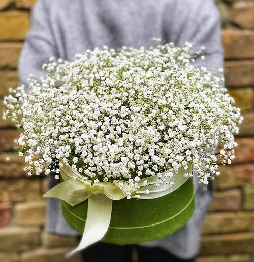 top White Flowers For Funeral
