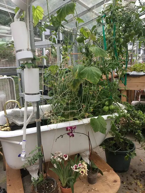 Crazy and Playful Whimsical Garden Ideas 18