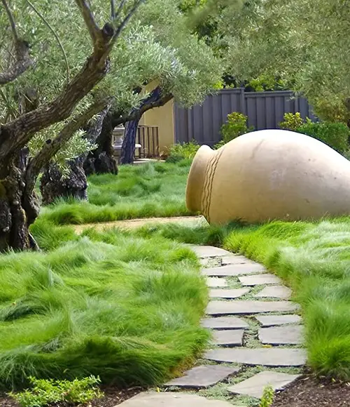 lovely Alternatives for a No-Mow Lawn