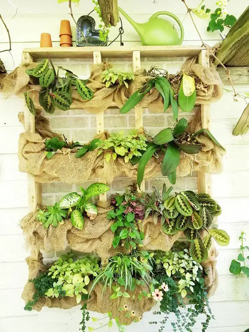 A Lush Indoor Burlap Garden