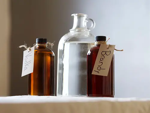 Important Points to Note Before You Spray Alcohol on Plants