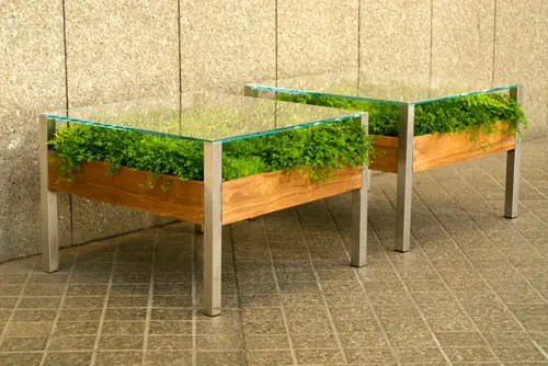 Garden Under the Tea Table