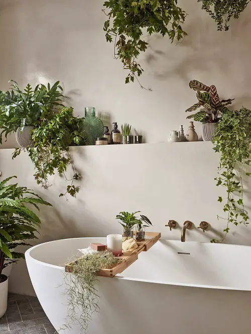 Top Best Shower Plants