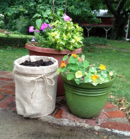 A Mix of Planters in cheerful garden