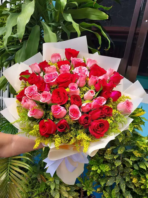 How to Grow Roses from Bouquets