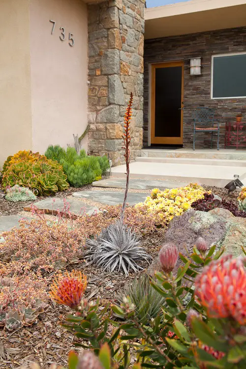 Succulent Studded Pathway