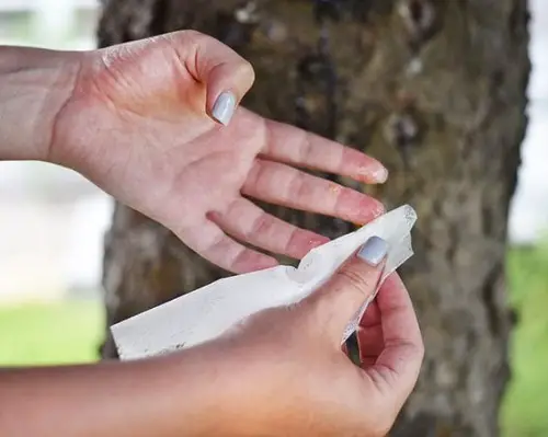 Remove Sap From Hands