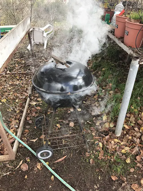 Use Smoke Germination Technique 2