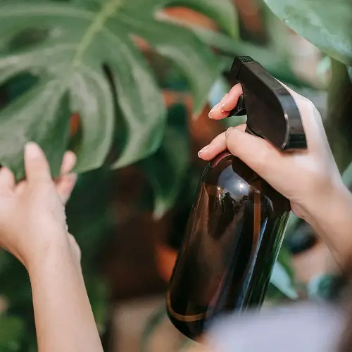 Use a Spray Bottle