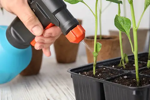 Impact of Alcohol on Soil