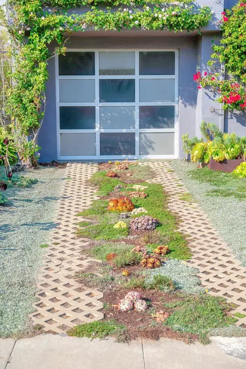 Succulent on the Entrance Ideas 17