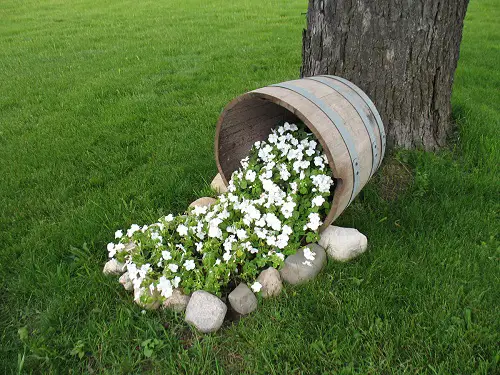 Whiskey Barrel Planters spill Garden