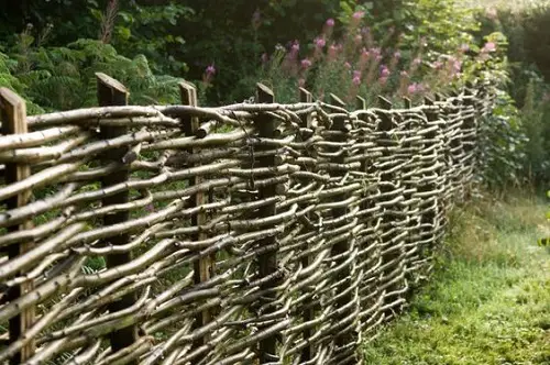 backyard Woven Fence