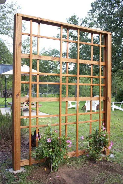 DIY Modern Trellis