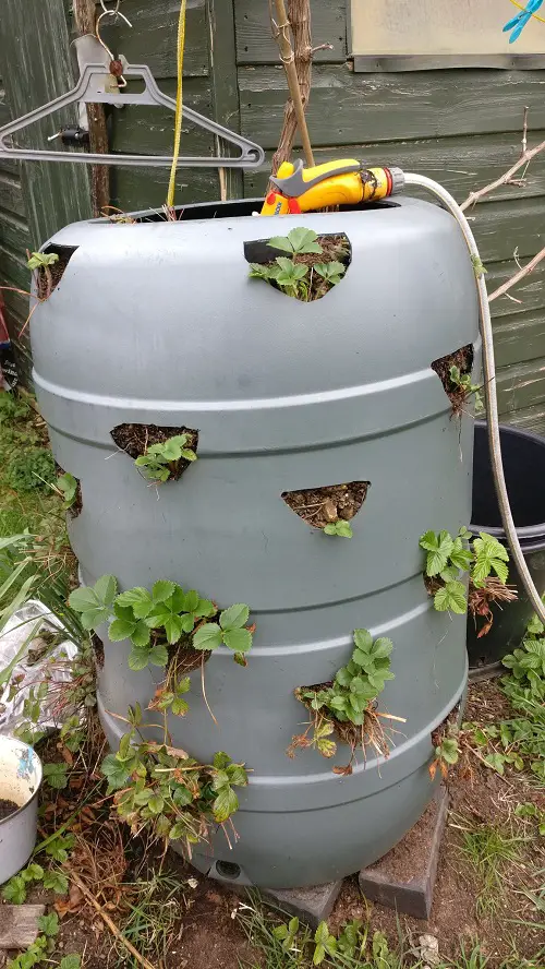 Drum with D-Cuts