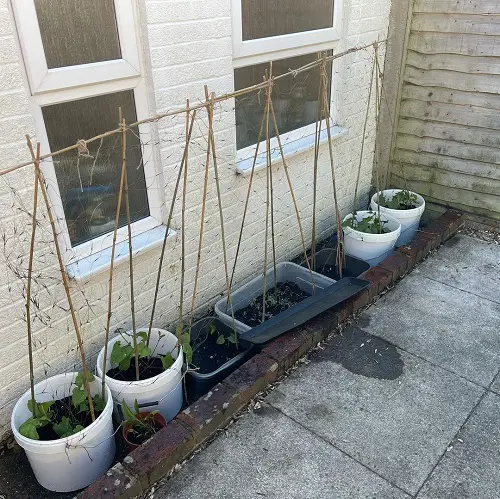 Patio Vegetable Garden Ideas 17