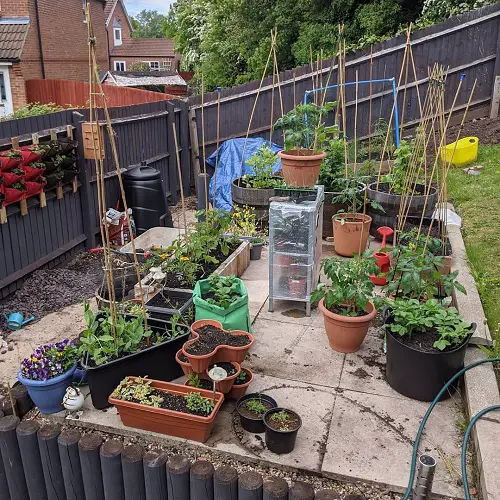 Patio Vegetable Garden Ideas 19