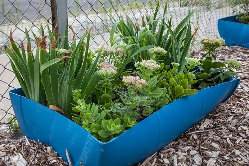 Sideways Barrel for Succulents
