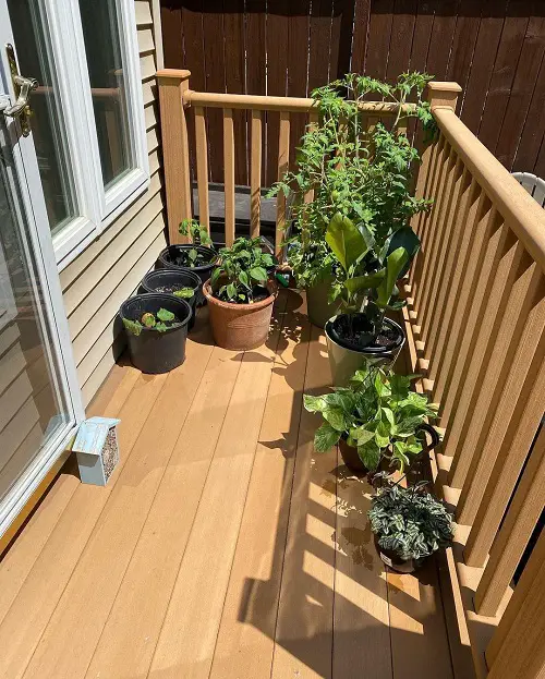 Patio Vegetable Garden on the Balcony