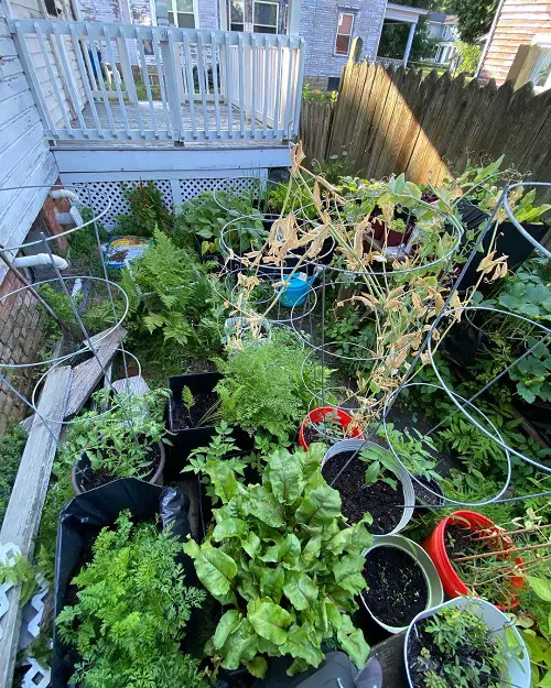 Patio Overlooking a Container Vegetable Garden