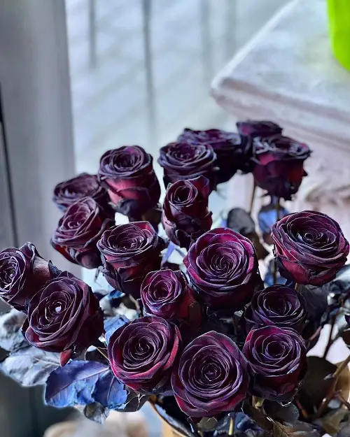 Flowers that Represent Death 1