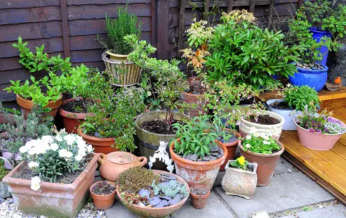 An Assortment of Clay Pots and Wooden Buckets