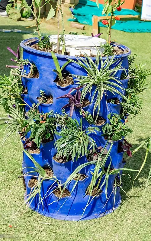 Plastic Drum for Trailing Plants