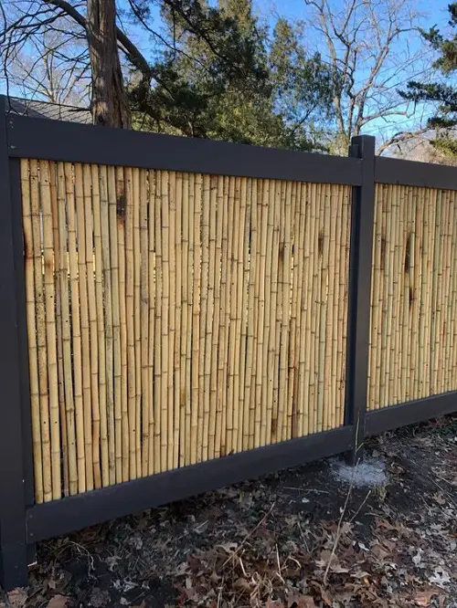 backyard Bamboo Fences
