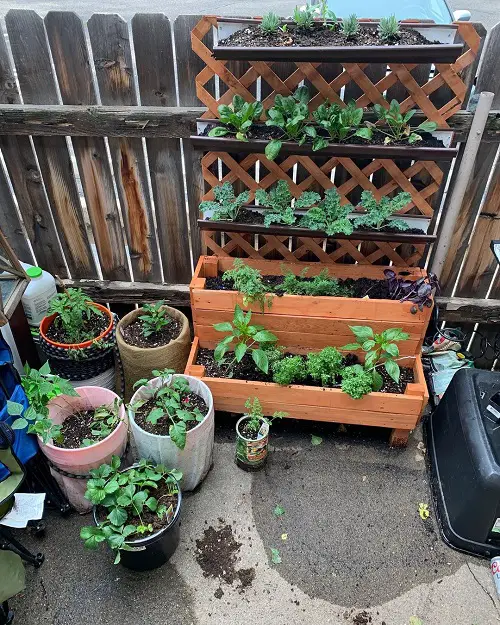 A Little Bit of Everything!