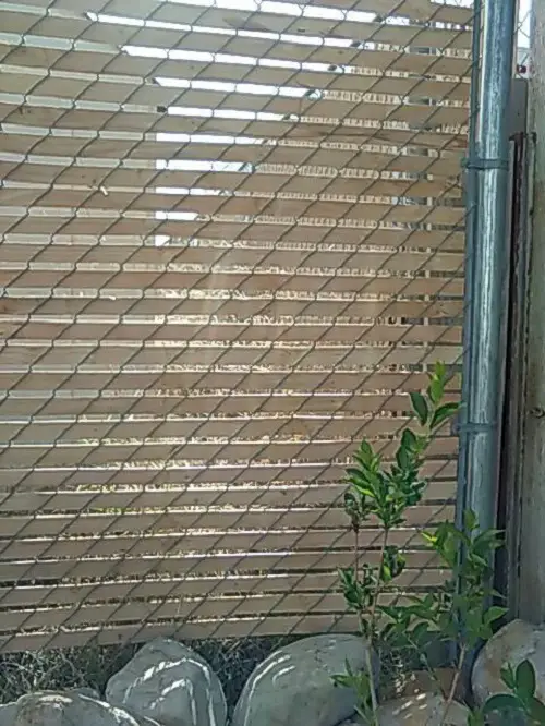 Chain Link Fences with Privacy Slats