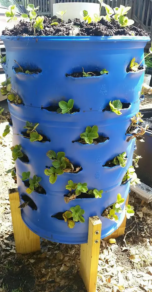 Plastic Drum on a Stand