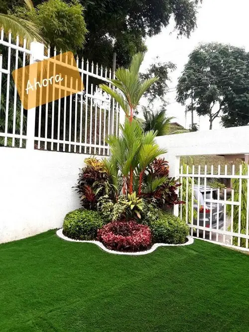 Vibrant Cordyline Corner in garden