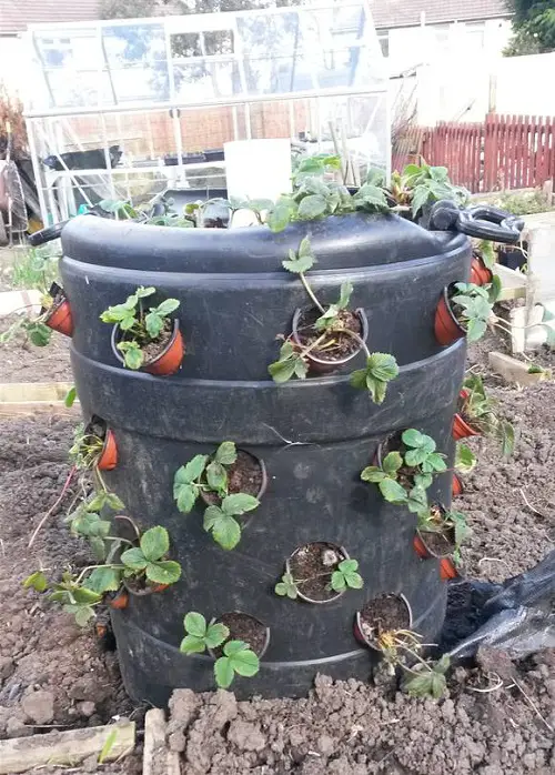 Cutouts for Mini Pots