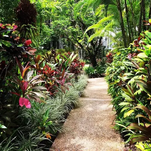 A Colorful Pathway near pathway