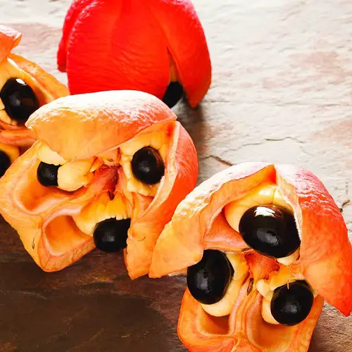 top  Delicious Fruits That Start With A