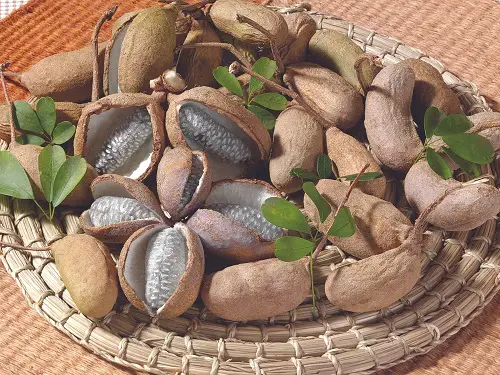 best Delectable Fruits That Begin With A
