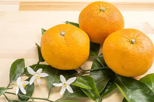 Sweet Fruits That Begin With A
