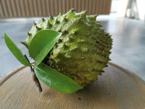 Fruits That Start With A 