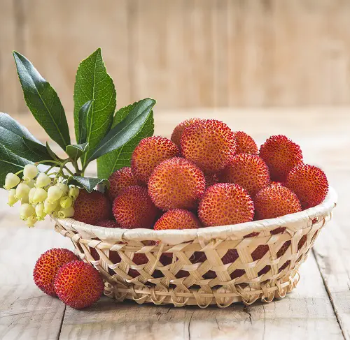 best Mouthwatering Fruits That Begin With A
