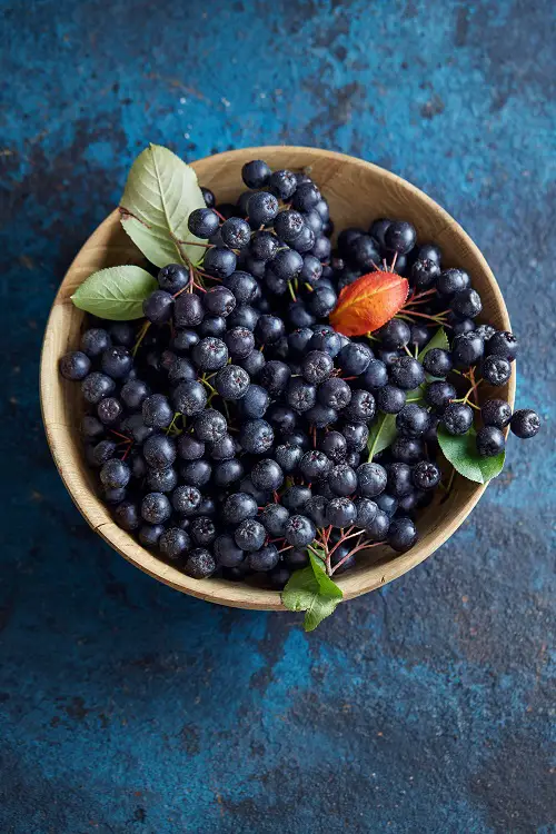 Fruits That Start With A 